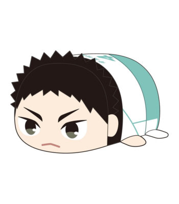 The product title translates to: "HQ-75 'Haikyu!!' Potekoro Mascot Big E Iwaizumi Hajime