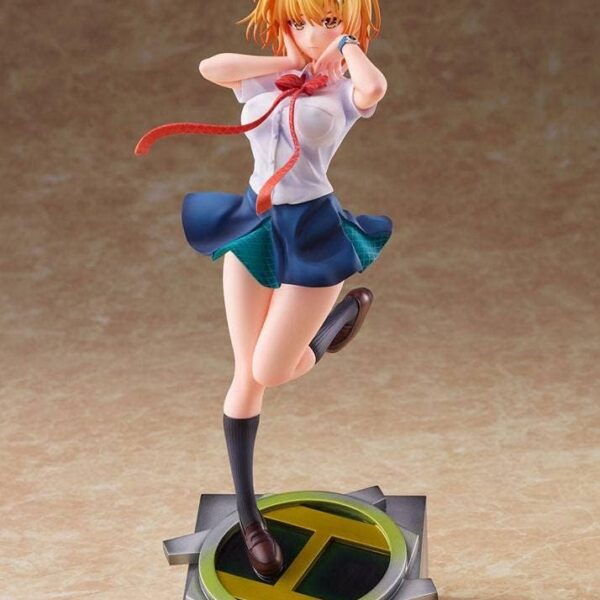 The product title translates to: "Class Formation Ex-Zeros, Star Mica, 1/7 Complete Figure (ANIPLEX + Exclusive)